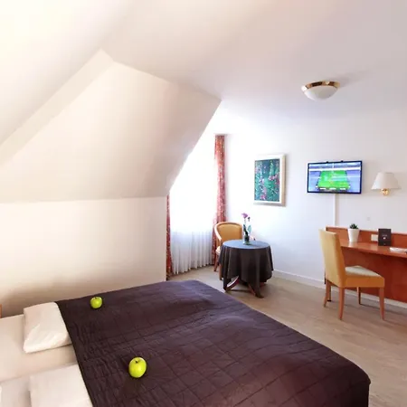 Schiff Am Hotel 3*