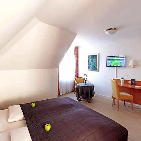 Hotel Schiff Am 3*